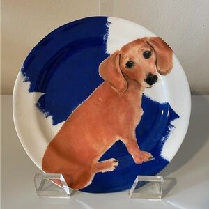 A set of plates , never used